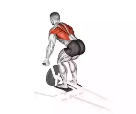 Pull Day Exercises