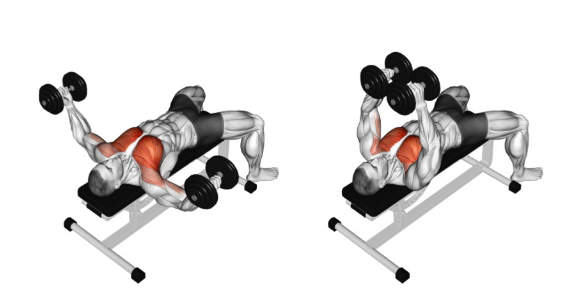 Dumbbell Flyes 