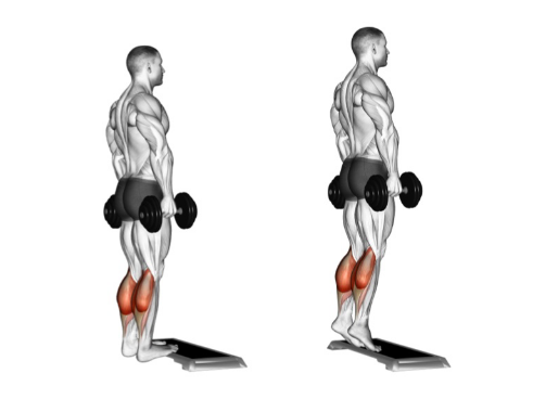 Leg Exercises with Dumbbells