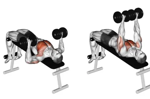 Chest Exercises with Dumbbells