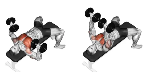 Push Pull Day Exercises