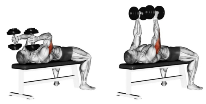 Triceps Workout with Dumbbells