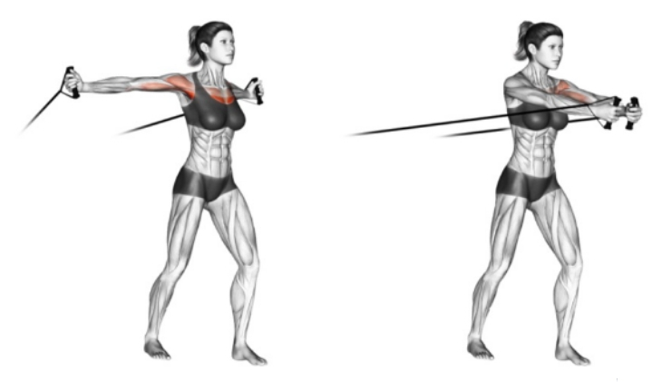 Resistance Band Chest Exercises