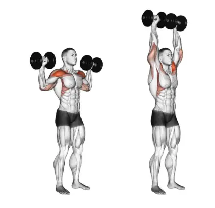 Push Pull Day Exercises