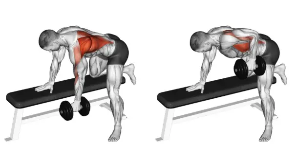 Back Exercises with Dumbbells
